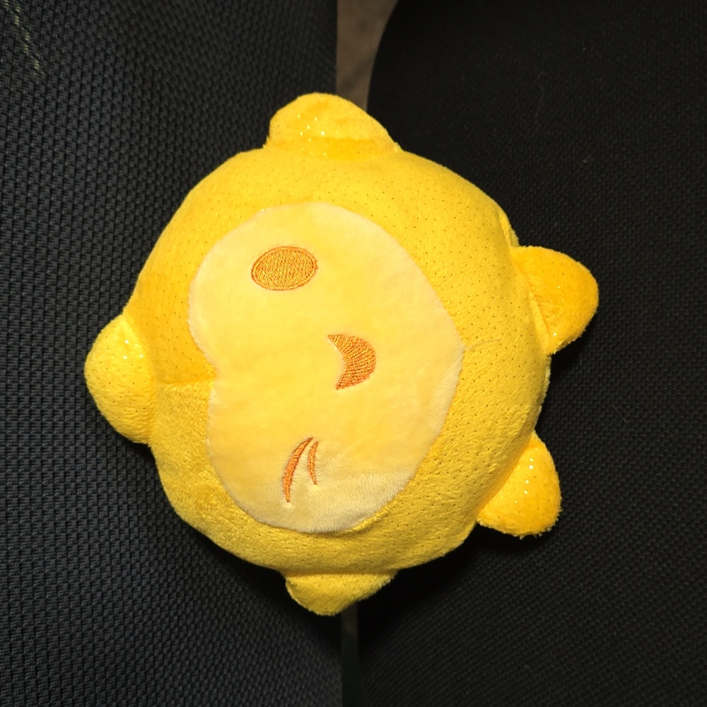 Disney's‎ Wish Star